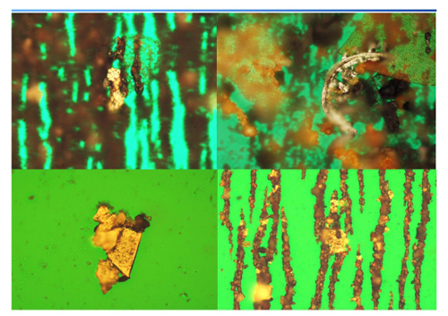 鐵譜顯微鏡下的鐵譜檢測(cè)圖