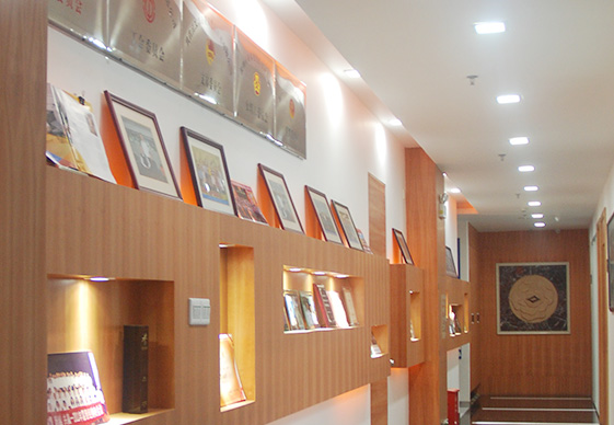 做為國產(chǎn)工業(yè)內(nèi)窺鏡設(shè)備老品牌廠家，深圳亞泰光電深耕工業(yè)內(nèi)窺鏡、工業(yè)管道內(nèi)窺鏡、工業(yè)視頻內(nèi)窺鏡等20余載，自主研發(fā)生產(chǎn)內(nèi)窺鏡產(chǎn)品具有多項發(fā)明專利，內(nèi)窺鏡廠家直銷，價格優(yōu)惠。